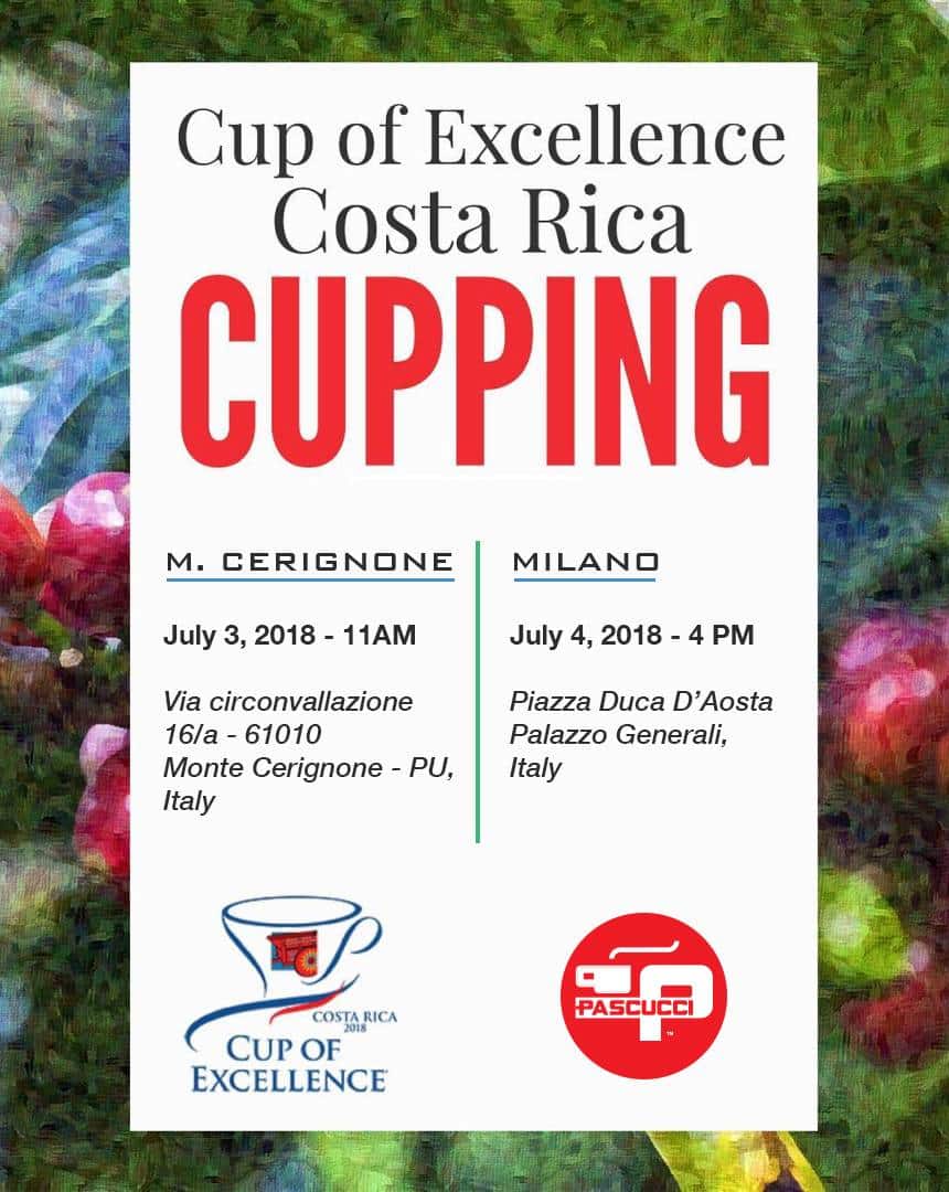 Caffè Pascucci cup tasting Cup of Excellence
